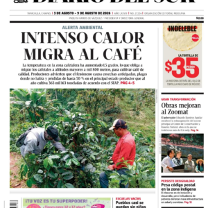 Edición PDF — diario del sur 20260803