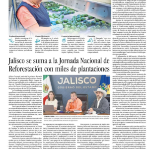 Edición PDF — el informador 20260806