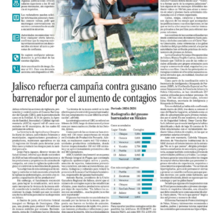 Edición PDF — el informador 20260815